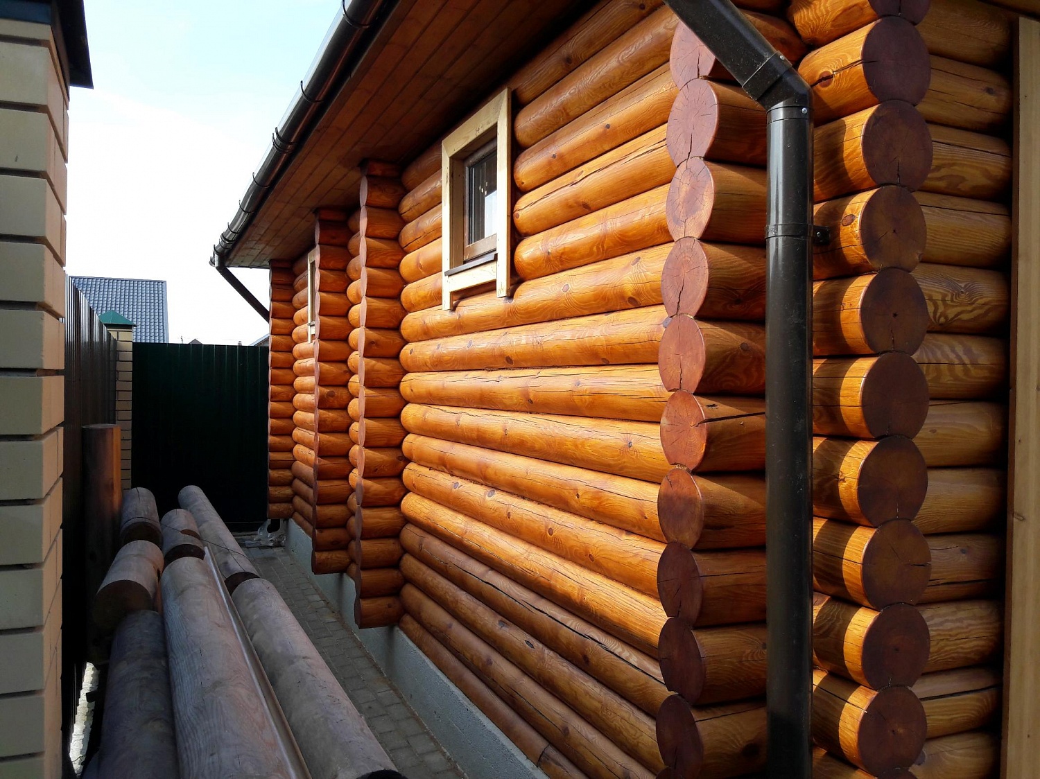  Покрашено: 428 Кедр