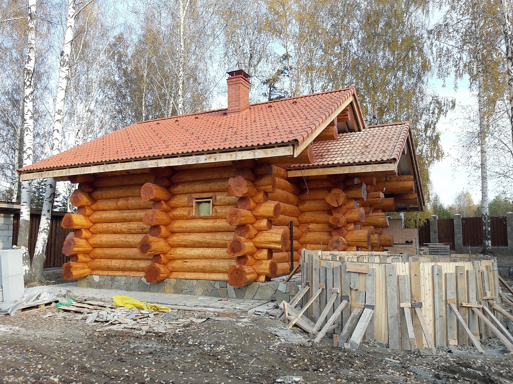  Покрашено: 428 Кедр